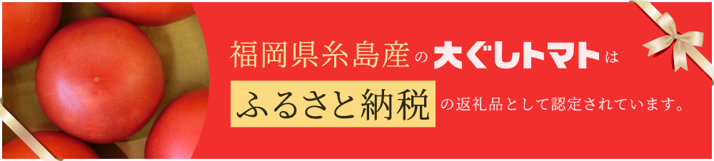 福岡県糸島産の大ぐしトマトはふるさと納税の返礼品として認定されています