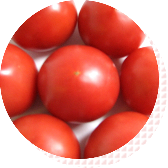 福岡県産の産地直送の大玉トマト 大ぐしトマト