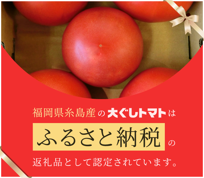 福岡県糸島産の大ぐしトマトはふるさと納税の返礼品として認定されています